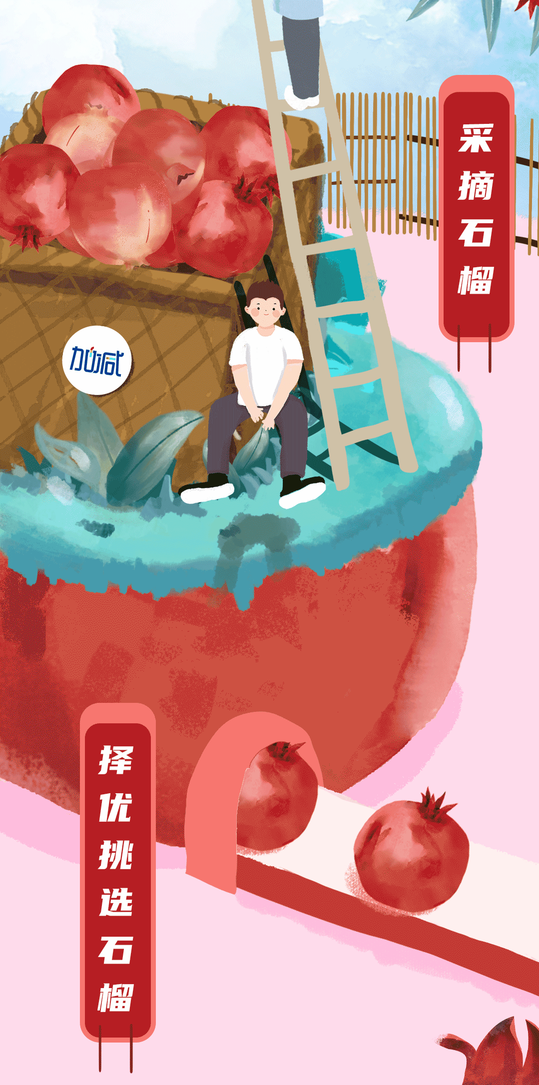 球王会体育石榴新品